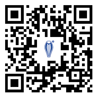 QR коды